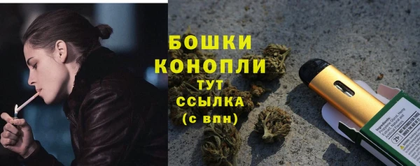 шишки Покров